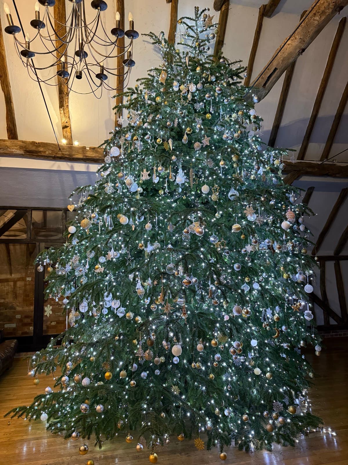 Being the Best Version of Ourselves